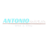 Antonio Arapiles web y seo